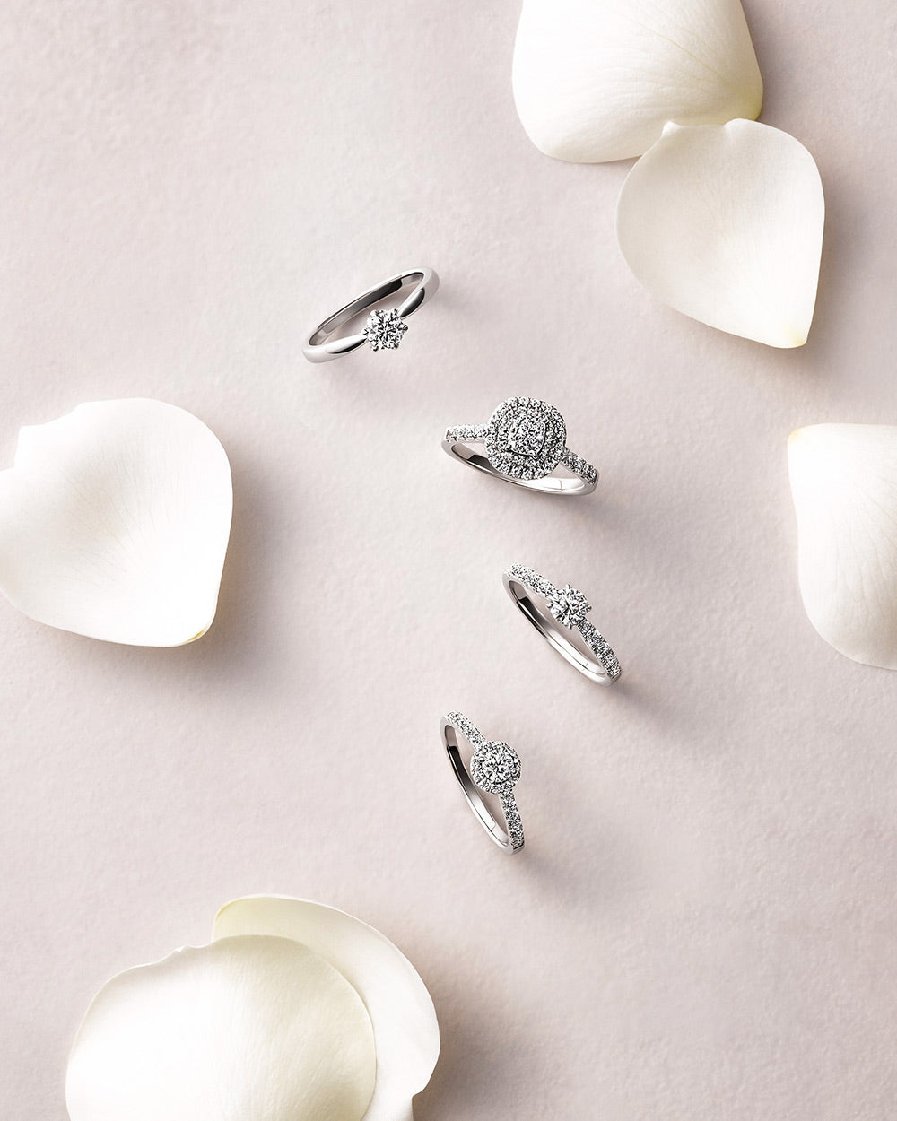 MAGNOLIA SOLITAIRE GRADIENT RING - 写真2枚目