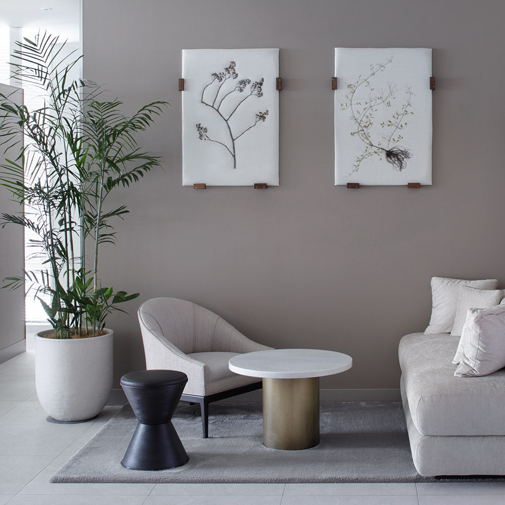 SALONのビジュアル